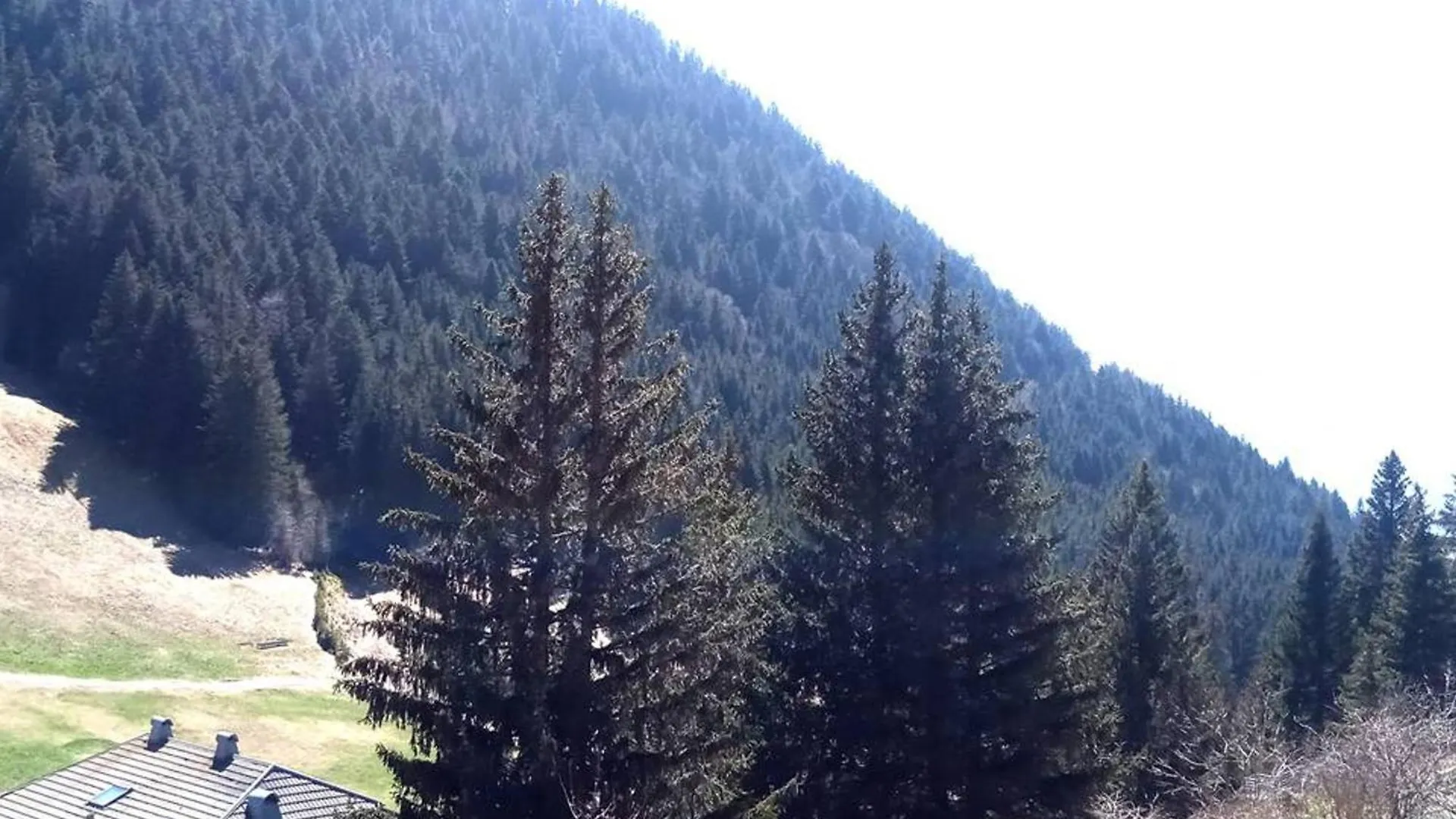 A Louer : Appartement Cosy 2 Pieces Cabine Avec Vue Montagne - Fr-1-573-138 Le Biot 0*,